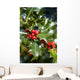 holly tree Wall Mural