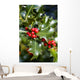 holly tree Wall Mural