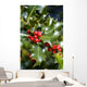 holly tree Wall Mural