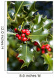 holly tree Wall Mural