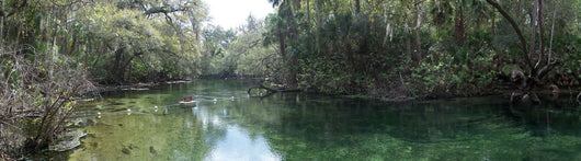 Blue Spring State Park Panorama 01 United States Wall Mural