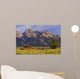 Grand Tetons With Farm Wall Mural