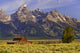 Grand Tetons With Farm Wall Mural