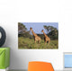 2 Reticulated Giraffes Wall Mural