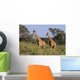 2 Reticulated Giraffes Wall Mural