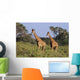 2 Reticulated Giraffes Wall Mural