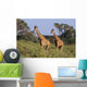 2 Reticulated Giraffes Wall Mural