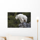 Mountain Goat Rock Ledge Wall Decal