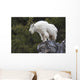 Mountain Goat Rock Ledge Wall Decal