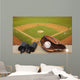 at the ball game Wall Mural