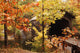 covered bridge Wall Mural