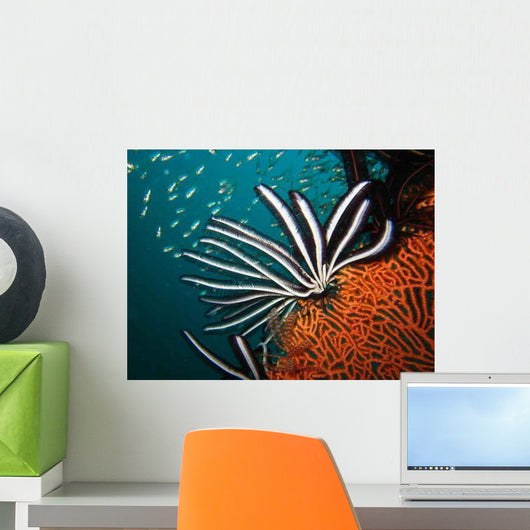 Seafruit1 Wall Decal