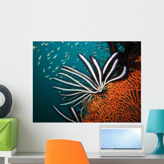 Seafruit1 Wall Decal