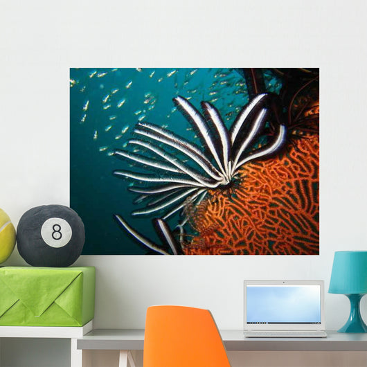 Seafruit1 Wall Decal