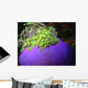 Anemone Wall Decal