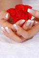 Woman hands with french manicure holding red rose Wall Mural