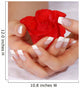 Woman hands with french manicure holding red rose Wall Mural