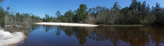 Blackwater River Pano01 United Wall Decal