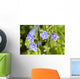 Speedwell / Veronica Wall Mural