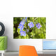 Speedwell / Veronica Wall Mural