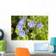 Speedwell / Veronica Wall Mural