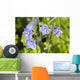 Speedwell / Veronica Wall Mural