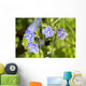 Speedwell / Veronica Wall Mural