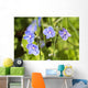 Speedwell / Veronica Wall Mural
