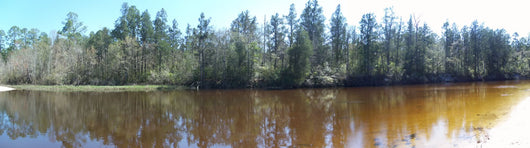 Blackwater River Pano02 United Wall Decal