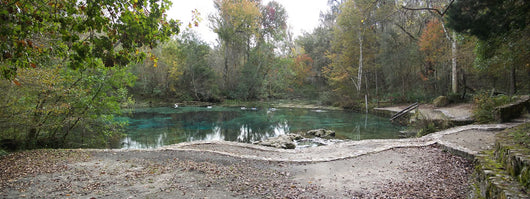 Ichetucknee Springs Sp North Wall Decal