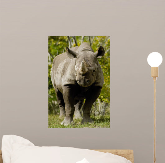 Black Rhinoceros Wall Mural