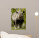 Black Rhinoceros Wall Mural