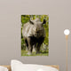 Black Rhinoceros Wall Mural