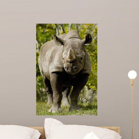 Black Rhinoceros Wall Mural