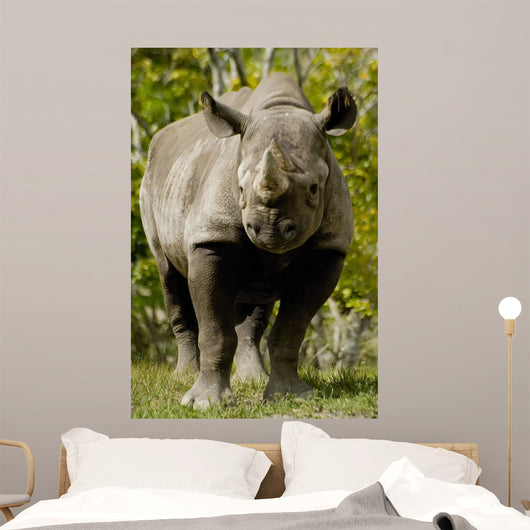 Black Rhinoceros Wall Mural