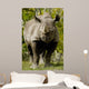 Black Rhinoceros Wall Mural
