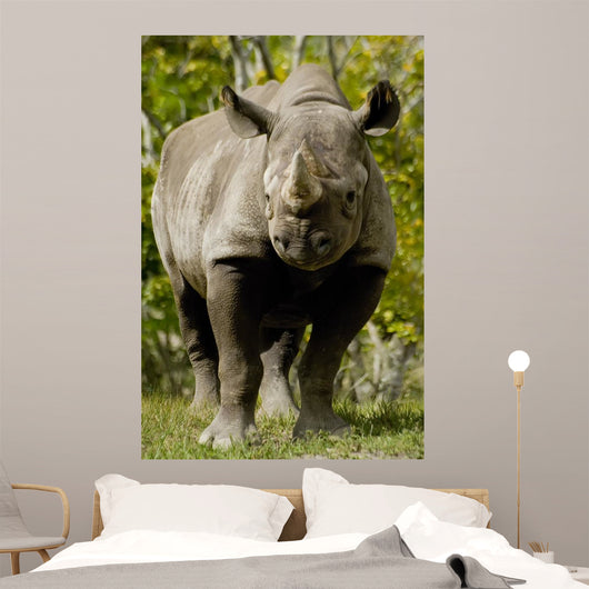 Black Rhinoceros Wall Mural