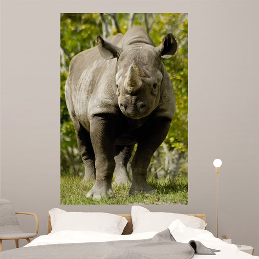 Black Rhinoceros Wall Mural