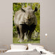 Black Rhinoceros Wall Mural