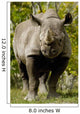 Black Rhinoceros Wall Mural
