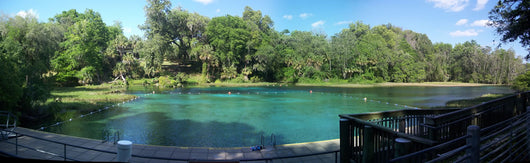 Rainbow Springs State Park Wall Decal