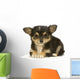 Chihuahua Poils Long Wall Decal