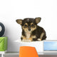 Chihuahua Poils Long Wall Decal