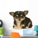 Chihuahua Poils Long Wall Decal