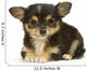 Chihuahua Poils Long Wall Decal