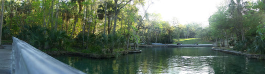 Wekiva Springs State Park Wall Decal