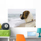 Watching Ocean Wall Decal