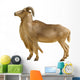 Mountain Goat Wall Decal
