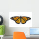 Monarch Butterfly