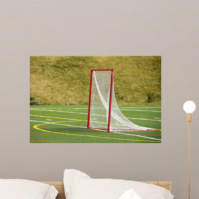 Lacrosse Net shown on a wall